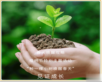 植树节的简短文字手抄报文案配图 2021微信植树节说说带图片14