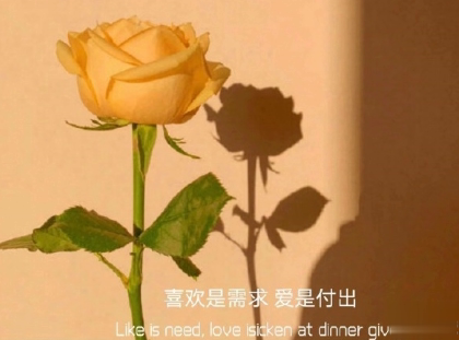 朋友圈晒花朵的优美文案 关于晒花朵的朋友圈3
