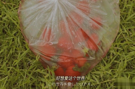 表达对对方一见倾心的文案带图片 烟花转瞬即逝灰烬倒是永恒15
