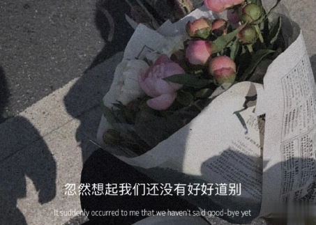 人生低估迷茫期的说说带图片 迷茫时发朋友圈的文案8