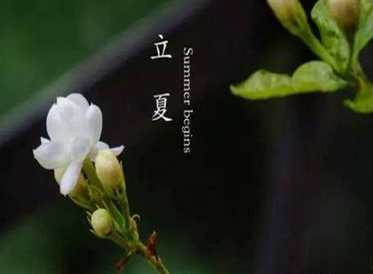 2021立夏的早安祝福语说说 立夏唯美的朋友圈祝福语2