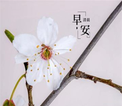 五月第一天的早安励志说说 2021五月你好的正能量句子
