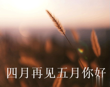 四月再见五月你好朋友圈说说大全带图 2021五月你好的朋友圈文案带图3