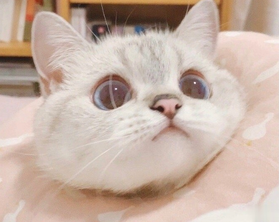 适合发朋友的高端文案句子 简短又很精辟的发朋友圈句子