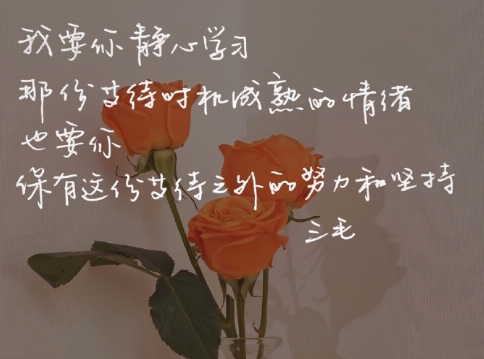 适合不想上班时发的文案 不想上班的幽默内涵说说