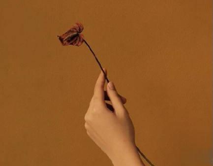 2021给妈妈送花的祝福语 写给妈妈的鲜花祝福语简短2