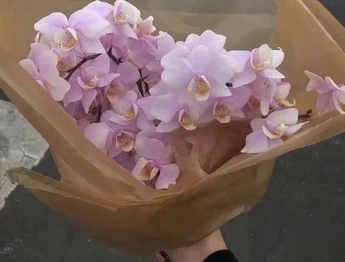 看的很透彻的精辟句子 写在自己心坎上的文案2