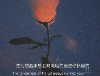 独自一个人难过的文案带图片 一个人独自流泪的说说12