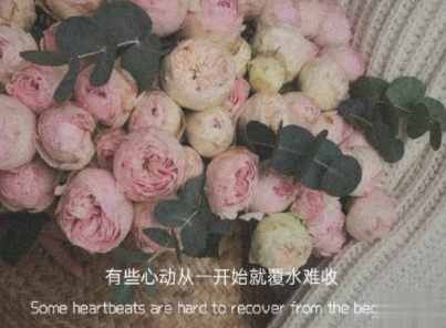 独自一个人难过的文案带图片 一个人独自流泪的说说10