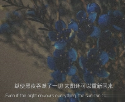 独自一个人难过的文案带图片 一个人独自流泪的说说14