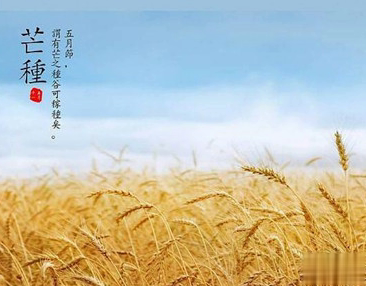 2021芒种节气发朋友圈的经典句子 芒种朋友圈经典祝福语2