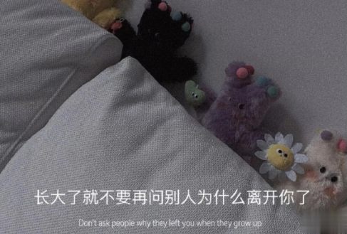 很明显的表达自己心情不好的文案 直白的表达自己心情不好的句子2