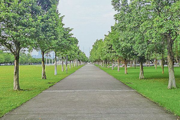 在教室一边上课一边做题 他怀疑这就是一场梦
