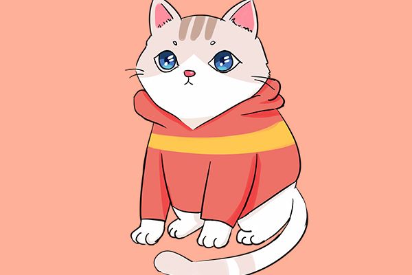 问猫的动态把爸爸问烦了 家家有个难搞的爹