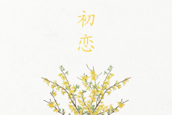 真实感人的初恋故事 那年夏天的记忆